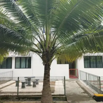 Pangkor Shu Yuan 邦咯岛墅苑海滩别墅