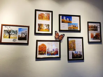 a wall with pictures on it with butterflies on it at Ipoh 168 Taman Pelangi, Persiaran Halaman Ampang Ipoh Homestay in Ipoh