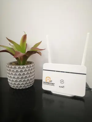 a plant in a pot sitting next to a modem at Jwa Vacastay in Lumut