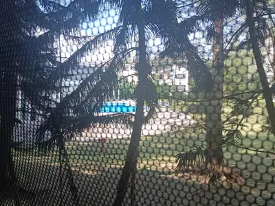 a view of a pool through a fence with a palm tree at Fatty House in Kampar