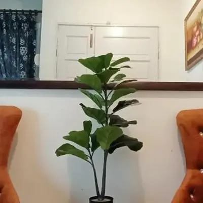Inap Kluster Height