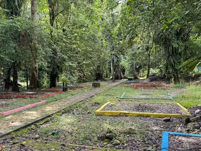 a garden with a bunch of plants on the ground at Camp Site in Tapah