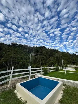 a blue pool in front of a white fence at The Starry Campervans Cameron Highlands in Cameron Highlands