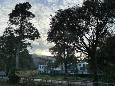 a group of trees in front of a house at Comfy21 Homestay Ipoh near Sunway Tambun in Ipoh
