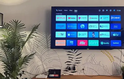 a television hanging on a wall with a plant at Single Terrace at Canning Ipoh Newly Renovated in Ipoh