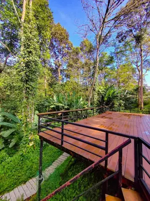a wooden bench sitting on a walkway in a park at The HIJAU Camp & Cabin in Gopeng