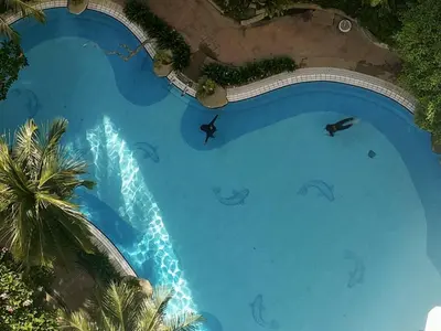 an overhead view of a large swimming pool with dolphins at Seaview appointment 3 bedroom in Tanjung Bungah