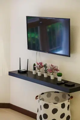 a tv on a wall with potted plants on a shelf at EEs Ocean House - Homestay 3 min walk to beach in Batu Ferringhi