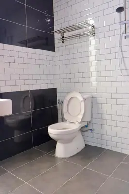 a bathroom with a white toilet and a shower at Hotel Aaraa in Brinchang