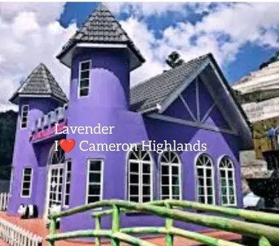 a purple building with a playground in front of it at Forever Green cameron in Brinchang