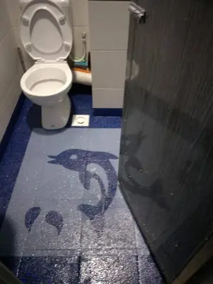 a bathroom with a toilet with a dolphin painted on the floor at Zaca's Rents in Kampong Duson Gilap