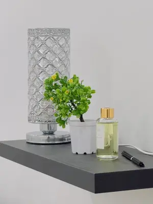 a shelf with a bottle of perfume and a plant at 3Bedroom Landed Cozy Home Ipoh Netflix in Ipoh