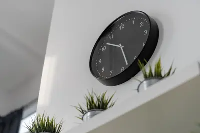 a black clock on a shelf with plants at Maritime Luxury Suite Seaview Sunrise in George Town