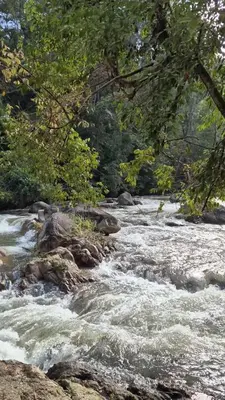 a river with rapids on the rocks and trees at Escape to Nature Cozy Terrace Room by the River in Kampong Ulu Dong