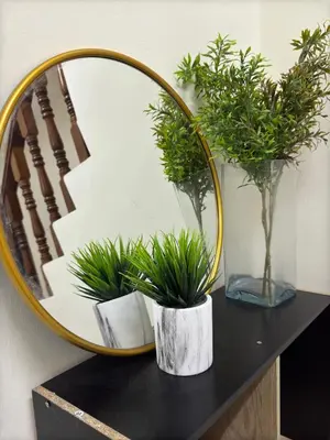 a mirror on top of a black table with plants at Teratai Bunda Homestay Tambun in Tambun