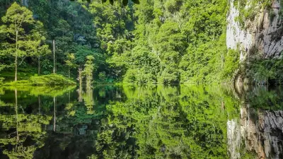 a river in the middle of a forest at The Minimalist Stay Station 18 in Ipoh