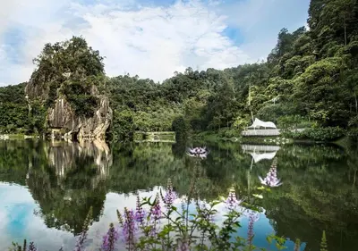 a lake with a house in the middle of a forest at The Haven Lakeside Residences, Lake View Suite IPOH in Gua Sai