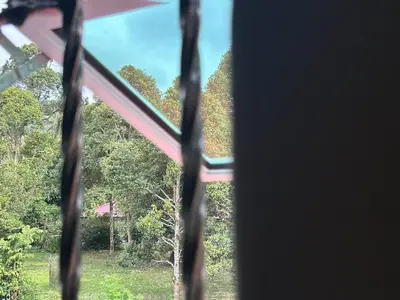 a view through a window of a field with trees at Seri Hayzar Homestay in Gua Sai