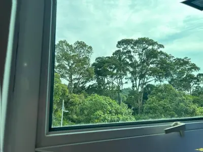 a window with a view of a forest of trees at Seri Hayzar Homestay in Gua Sai
