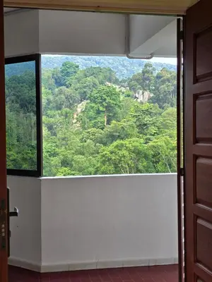 a window in a room with a view of a forest at Sunshine Seaview Apartment in Batu Ferringhi