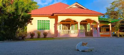 a cat laying on the ground in front of a house at A I HOMESTAY Balik Pulau in Balik Pulau