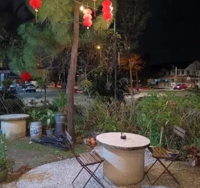 a fountain in a garden with a tree at night at Homestay Lung Tok in Bukit Mertajam