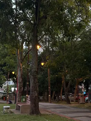 a park with trees and a bench and a street at test place in Gua Sai