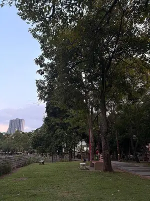 a park with a tree and benches in the grass at test place in Gua Sai