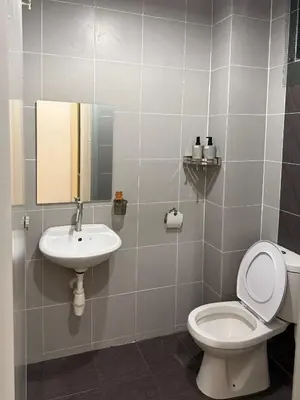 a bathroom with a toilet and a sink at Cozy Inn Homestay in Kampar