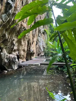 a bridge over a body of water in front of a tree at Cabin in the Valley in Tambun