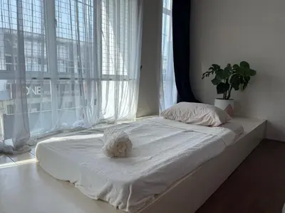 a white dog laying on a bed in a bedroom at Bondfire Ipoh Bercham Karaoke & Homestay 5pax in Ipoh