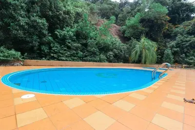 a large blue swimming pool in front of a forest at Virgo Batik Resort, Teluk Batik in Lumut