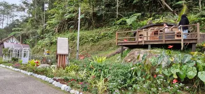 a woman standing on a bridge over a garden at B661 SilverparkResort -walk up in Bukit Fraser