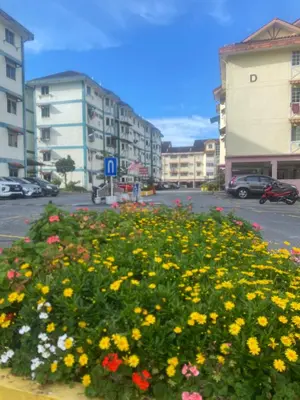 a bunch of flowers in a parking lot with buildings at Dheaa's Homestay Cameron Highlands in Tanah Rata