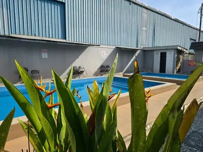 a plant in front of a swimming pool at Homestay Tok Ani by Ardzman Hospitality in Permatang Pauh