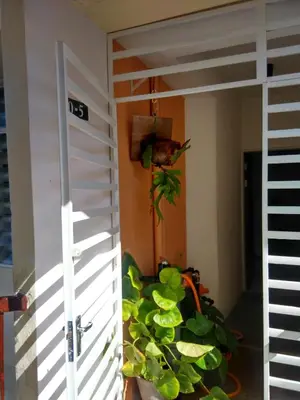 a bird perched on the wall of a room with a plant at Jean CleanComfy Apt Near Beach in Batu Ferringhi