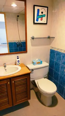 a bathroom with a toilet and a sink and a mirror at Sri Sayang Homestay 2 in Batu Ferringhi