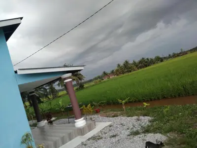 a house with a view of a rice field at Aziyaa Homestay rumah no1 in Sungai Besar