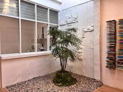 a small tree in a room with a window at Corner Single-Storey Fire Camp 9pax FreeWiFi Ipoh Town By LUX SUITES in Ipoh