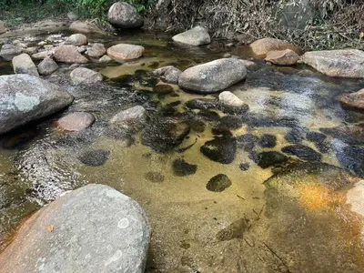 a stream of water with rocks on a rocky ground at Desa Ibol Cottage and River - Max 10Pax