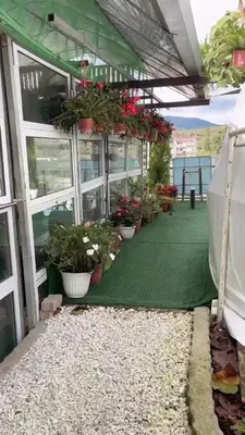 a greenhouse with potted plants and flowers in it at Mountain View Sameer Glamping in Cameron Highlands