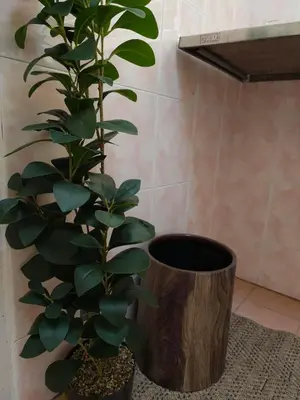 a plant in a vase next to a wall at Tambun Apartment - Boho Natura in Tambun