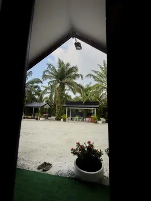 a view of a beach with palm trees and a building at Swit60 Homestay in Sungai Besar