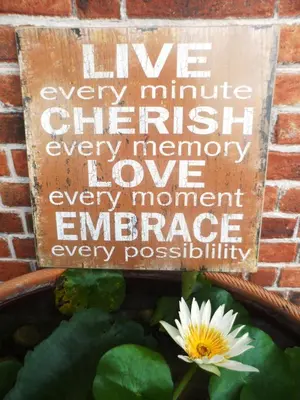 a sign on a brick wall above a pond with a flower at Austin GuestHouse in Ipoh