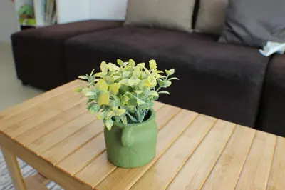 a green vase with yellow flowers on a coffee table at Strawberry Homestay in Cameron Highlands