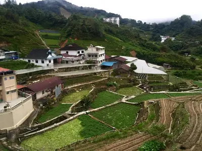 an aerial view of a village on a hill at Hotel Flora Plus in Cameron Highlands
