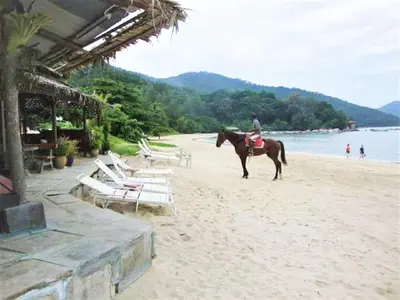 a person riding a horse on the beach at Partial Seaview with Wifi, Batu Ferringhi in Batu Ferringhi