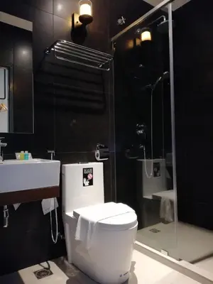 a bathroom with a toilet and a sink and a shower at Palm Hotel Ipoh in Ipoh