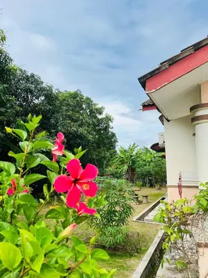 Gallery image of Sofea Homestay Ipoh in Ipoh