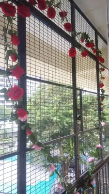 a window with red flowers hanging from it at Pinang Beach Apartment @ Bayu Emas in Batu Ferringhi